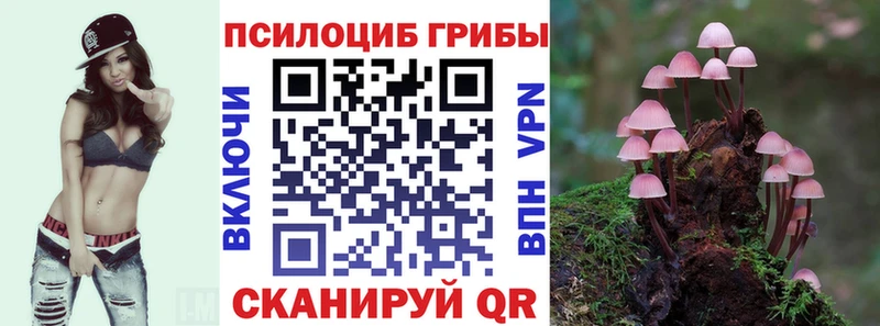 Псилоцибиновые грибы Psilocybine cubensis  купить  цена  мориарти как зайти  Балашов 