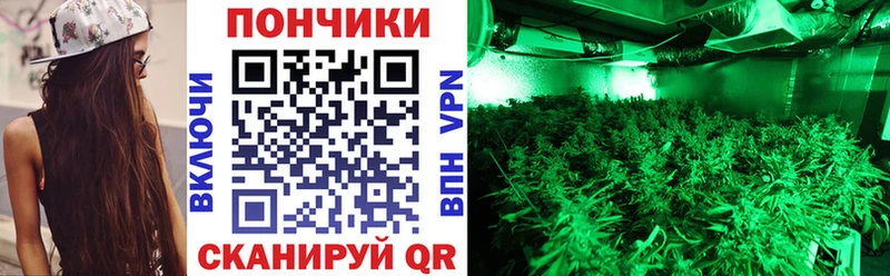 Канабис Bruce Banner  закладки  Балашов 