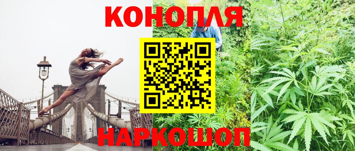 Канабис OG Kush  Балашов  Бошки марихуана OG Kush 